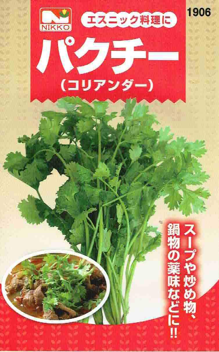 【専用】コリアンダー様 Amazon | 香草 パクチー コリアンダー 約200ml | 野菜